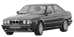 BMW E34 P1185 Fault Code